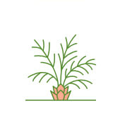 Plant & Tree Solutions 